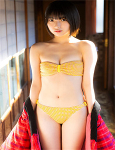 《叛逃电视剧》